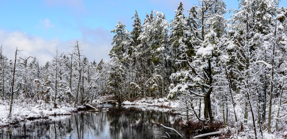 Pinelands National Reserve