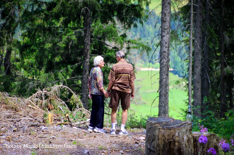 Two people hold hands as they look over a forested scene