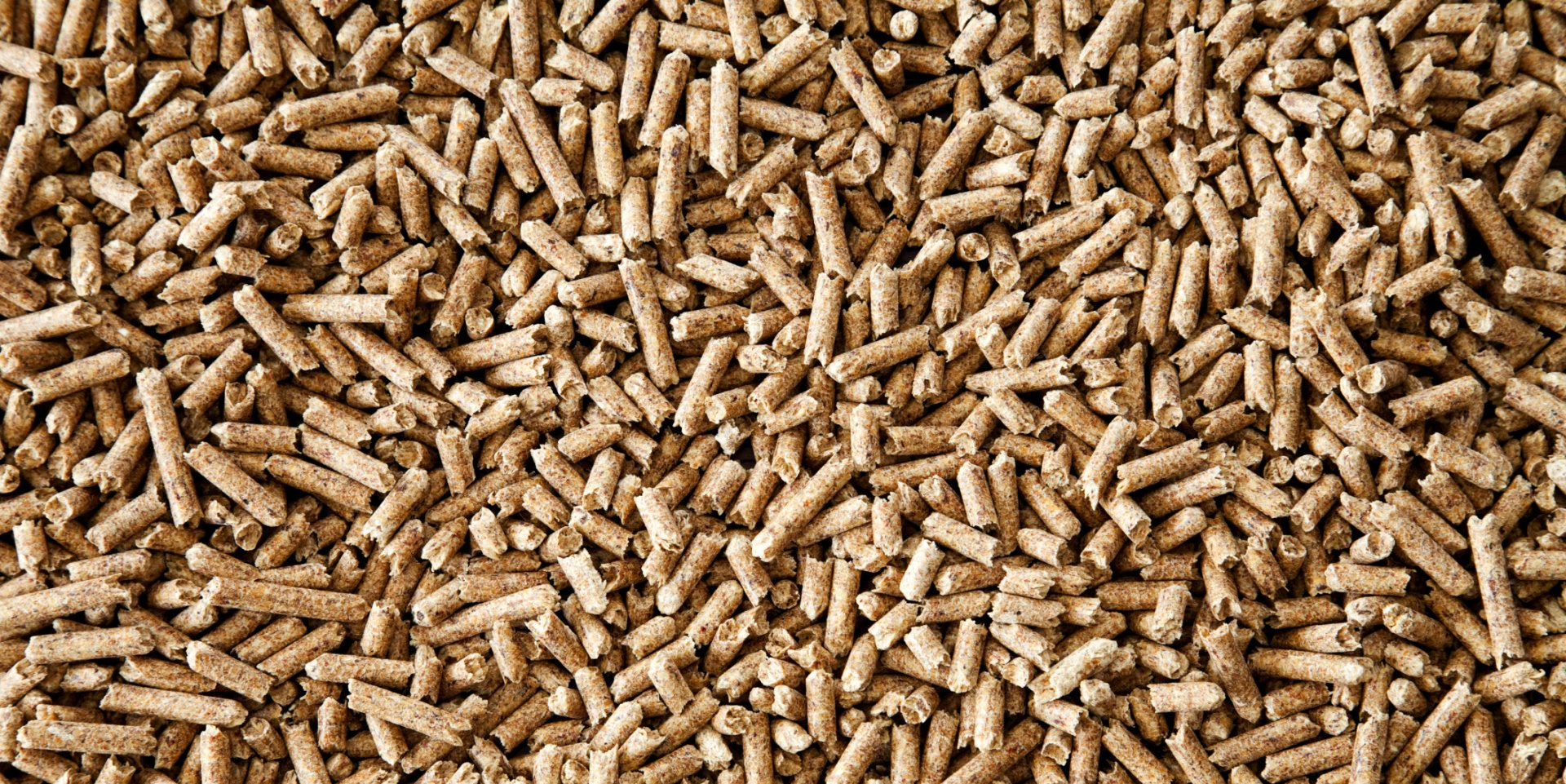 A close-up view of wood pellets