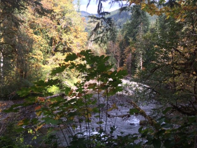 Hamma Hamma River