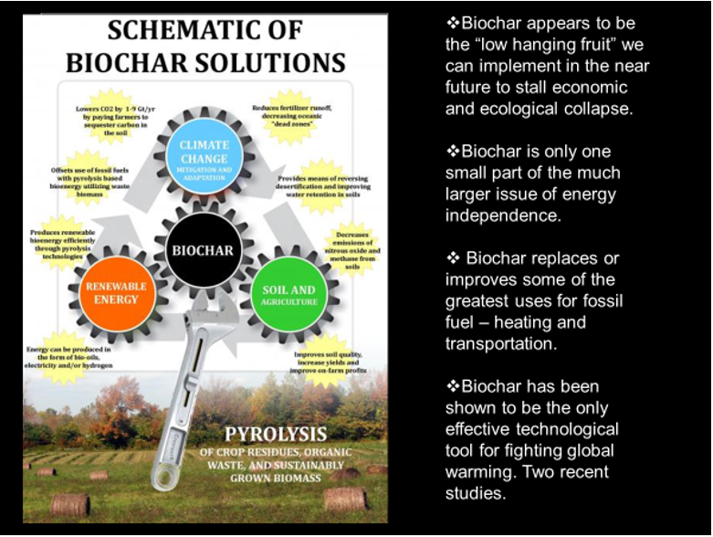 Schematic of Biochar Solutions