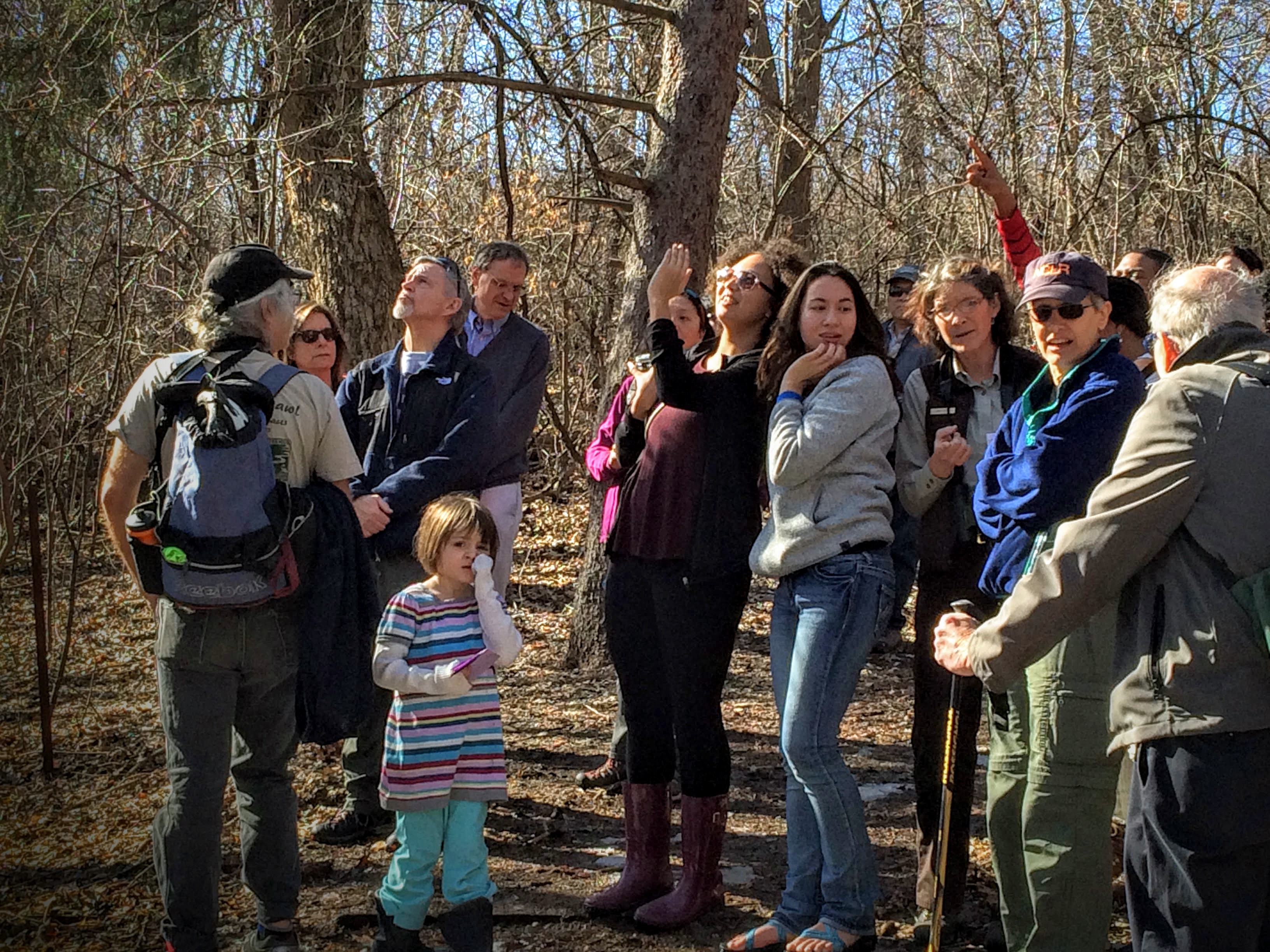 Hikers spot two owls