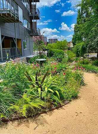 photo of Durham Coho community garden in Durham, NC