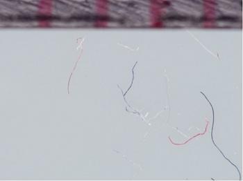 photo of separated fibers from recovered material