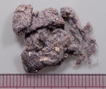 closeup photo of material recovered from washing one fleece jacket, with millimeter ruler for scale