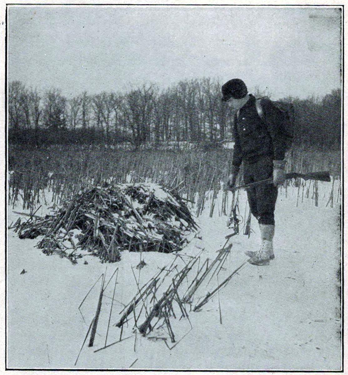 historical photo of a muskrat lodge