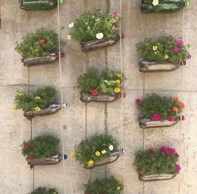 photo of flowers growing out of plastic bottles. Photo credit: Neely Atha