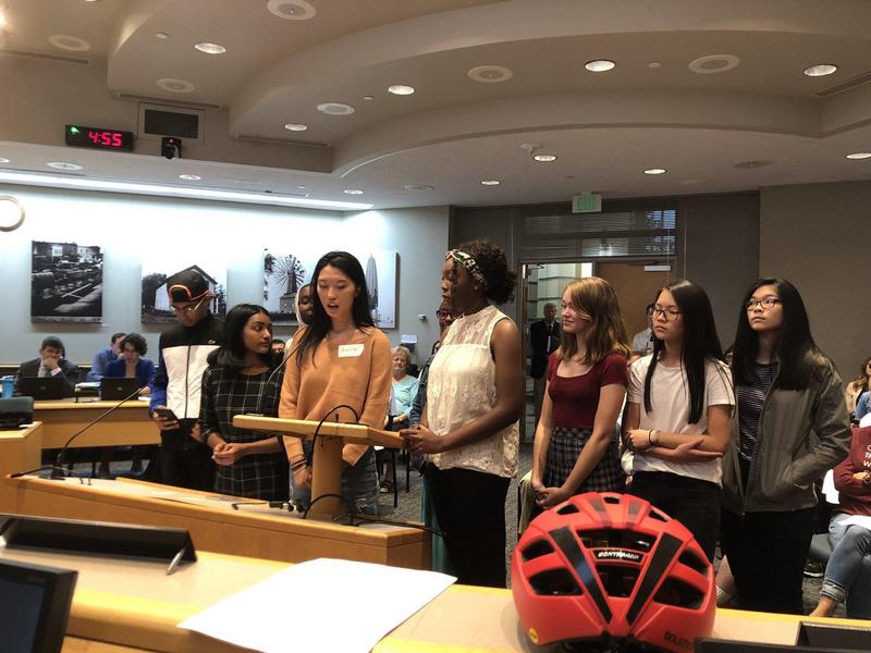 Photo credit: former city council member Michael Wojcik - High School student-organizers making their demands for 100% clean energy to the Rochester City Council.