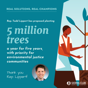 Real Solutions, Real Champions