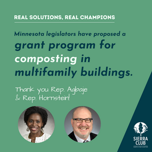 Real Solutions, Real Champions