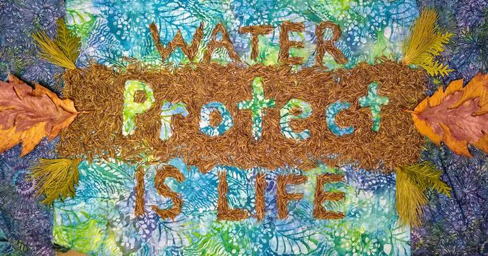 collage saying protect: water is life