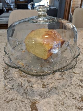 photo of cake inside cake dome