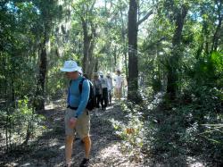 Group hiking in woods