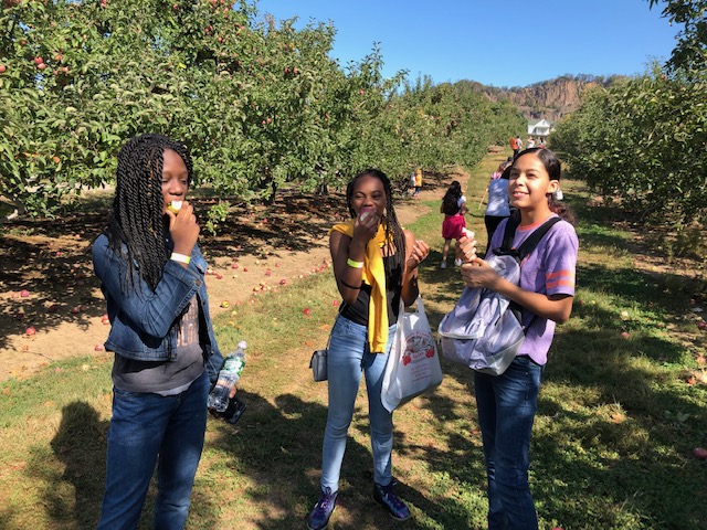 TWYLS apple picking