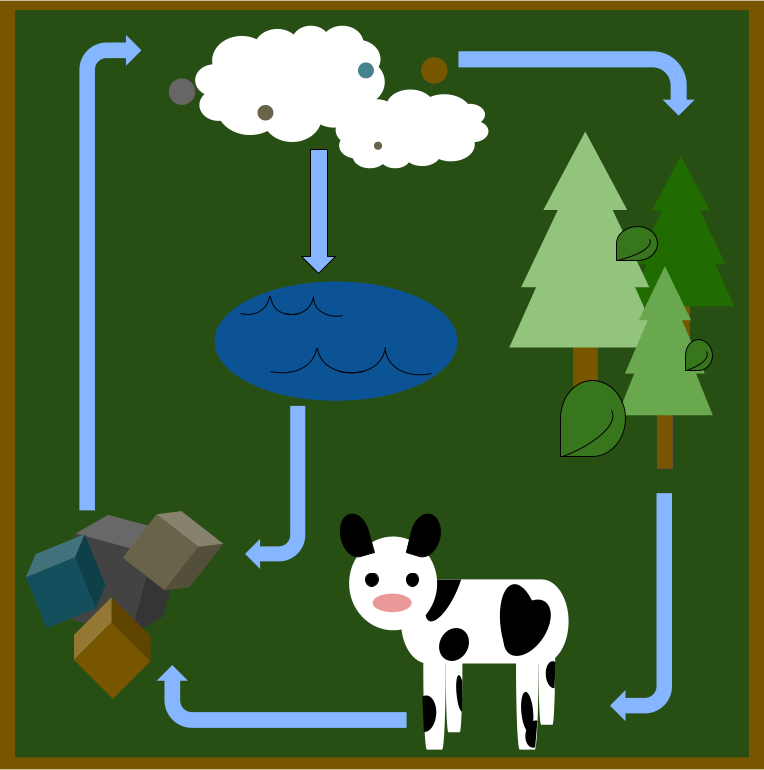 Diagram of the Carbon Cycle