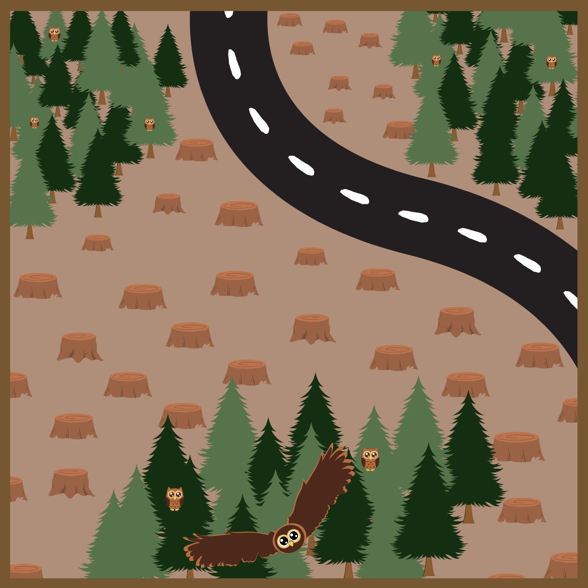 Forest divided by logged land and a highway