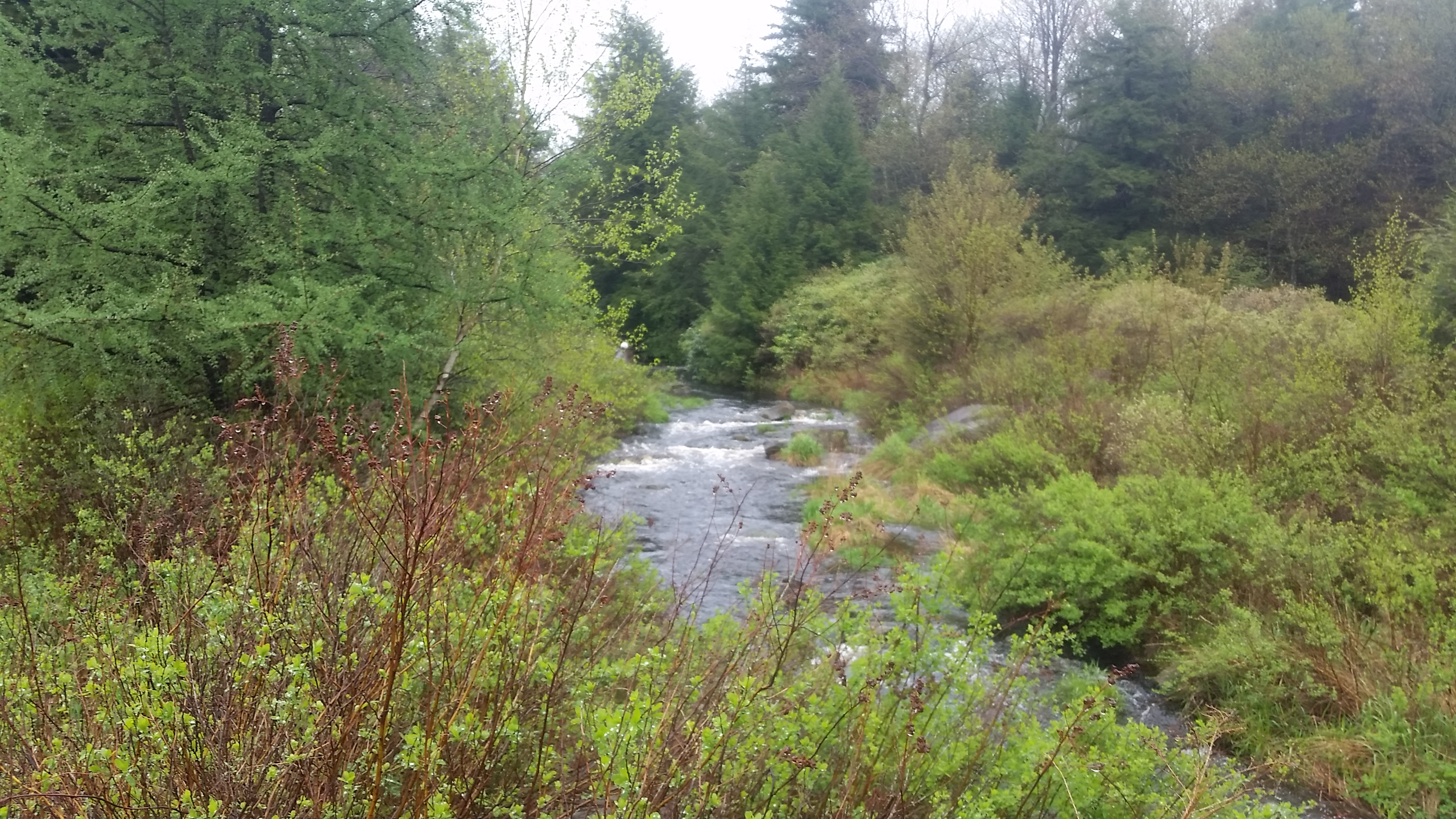 Headwaters of the Lehigh River
