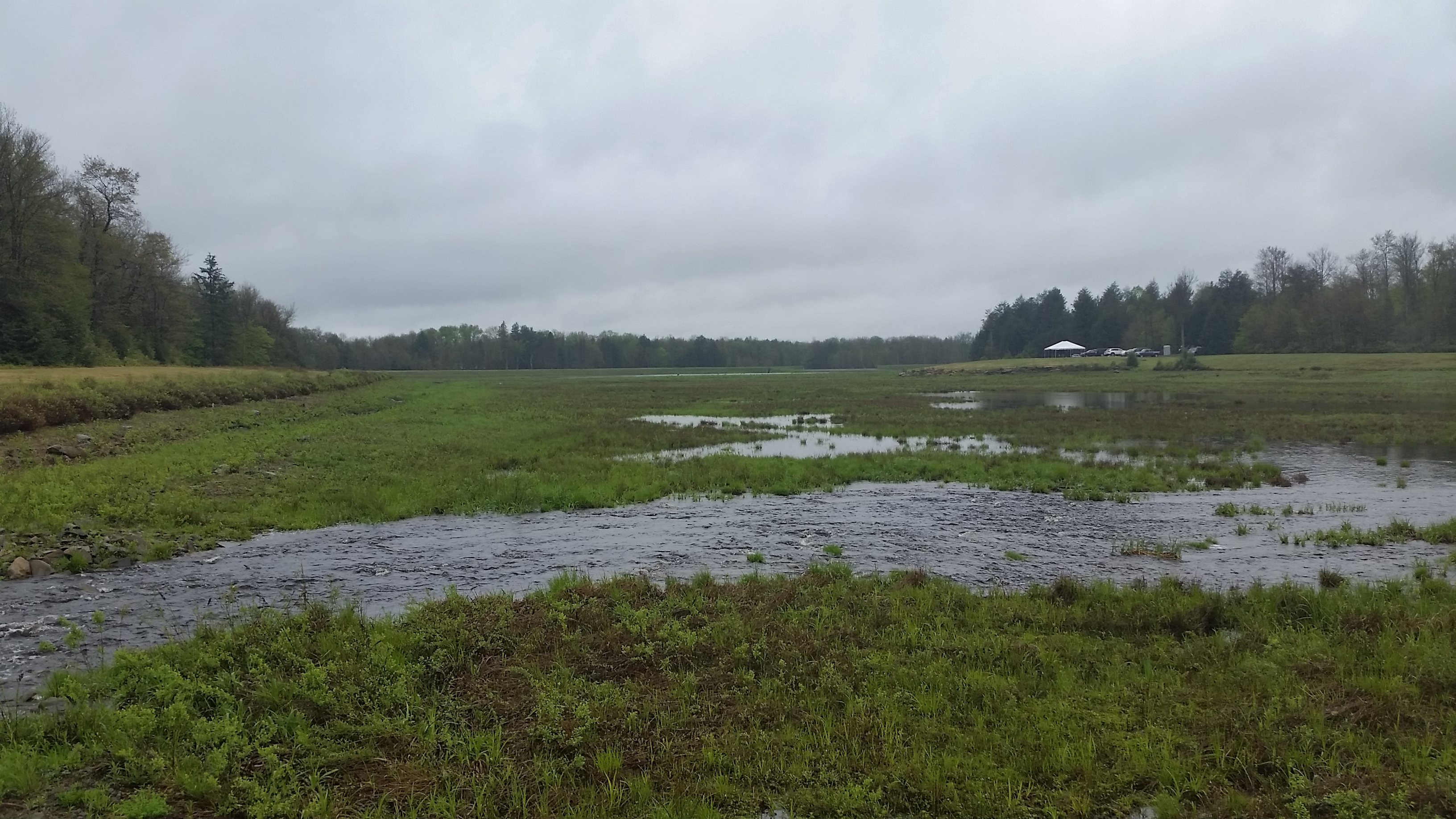 River flowing into wetlands