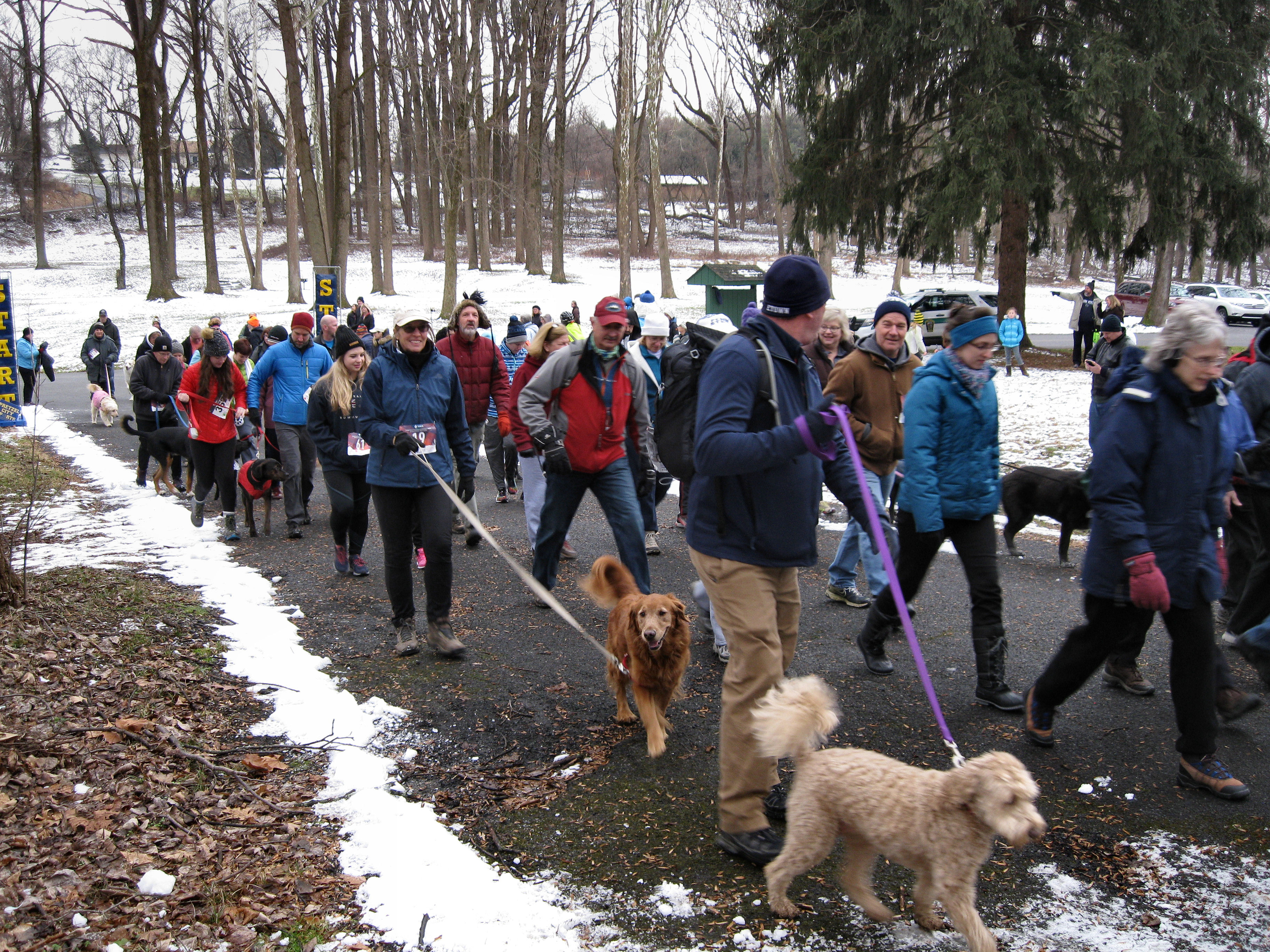 Runners and hikers on 2018 5K