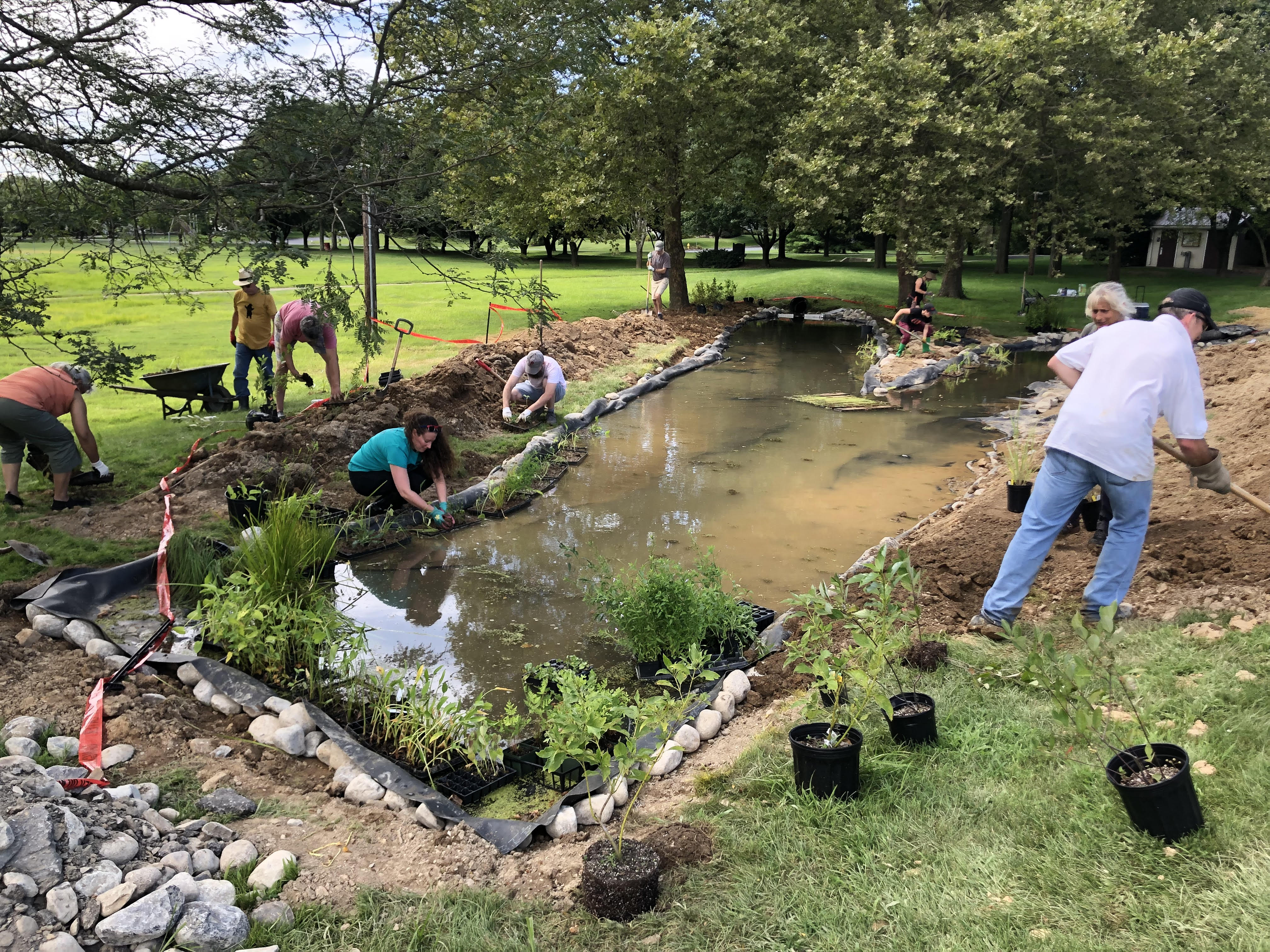 Community Planting Day - Ricky Park Wetlands