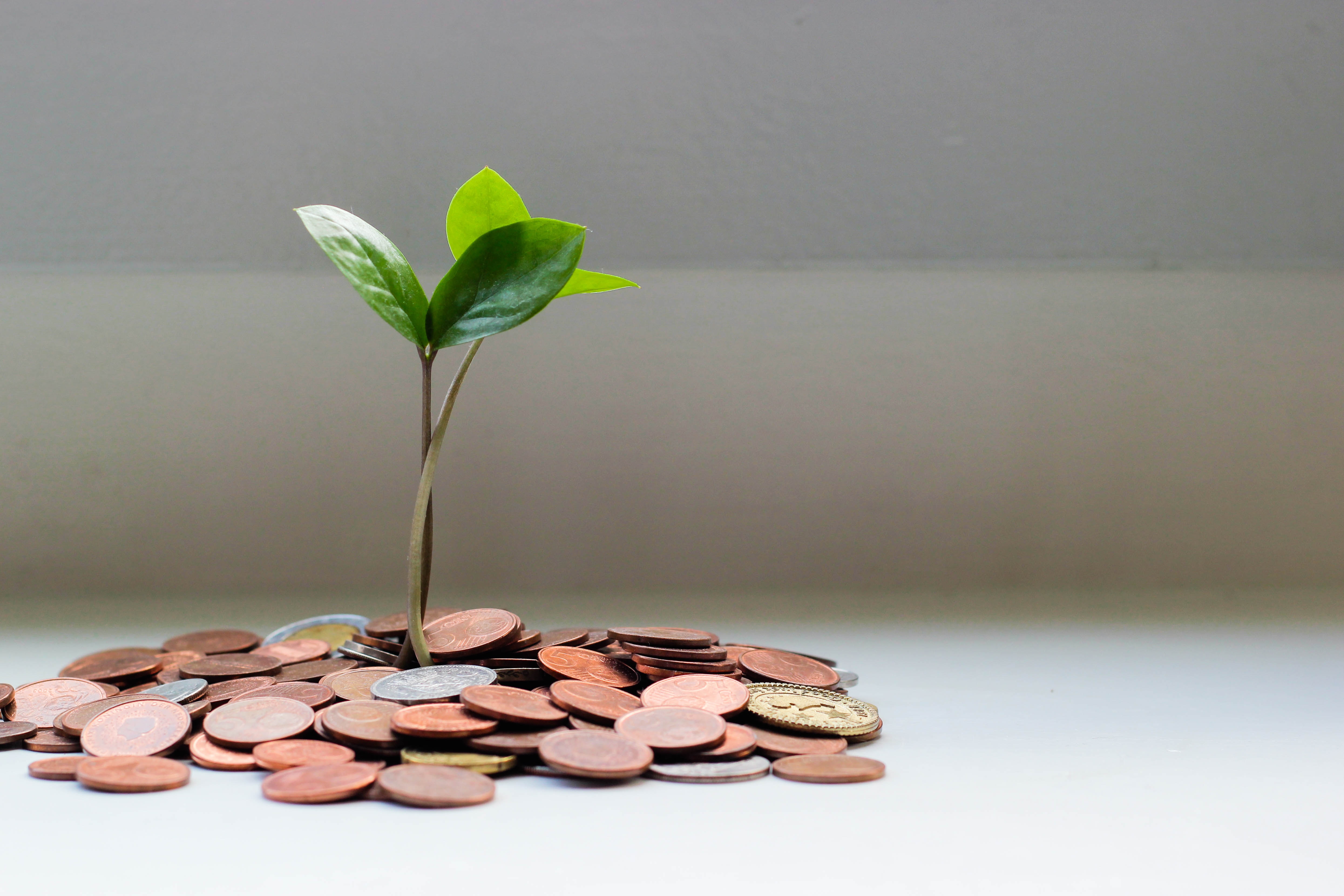 Grant Money Growing