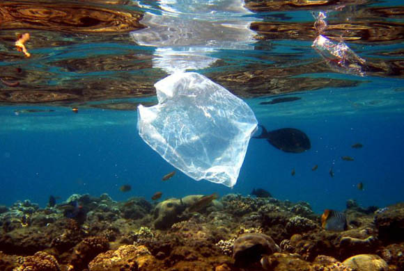 bag in water