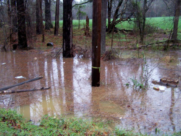 Field flooded from sludge