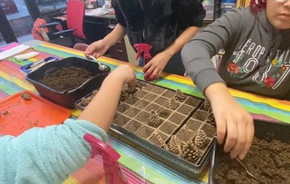 Kids planting trees