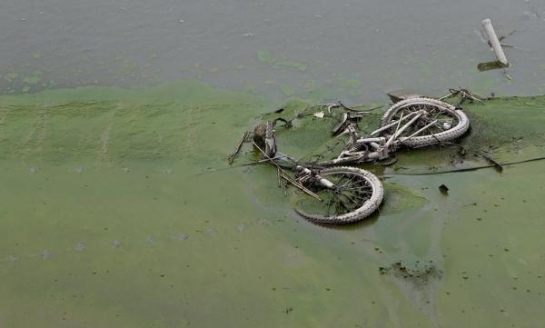 Bike in the Sludge Bike in the Sludge