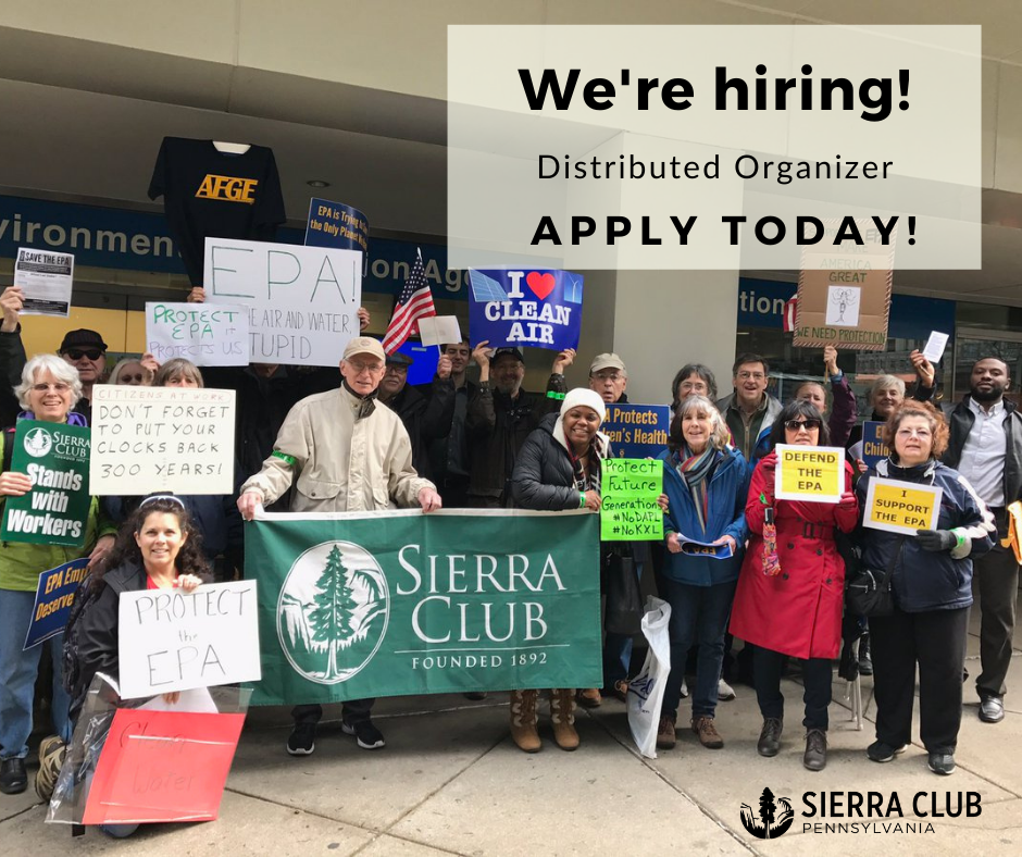 Sierra Club PA volunteers at a rally holding signs with the text "We're hiring a Distributed Organizer. Apply Today!"