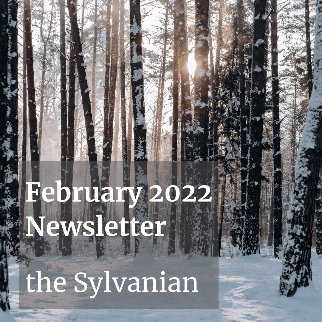 Snow covered woods with the text "February 2022 Newsletter: the Sylvanian"
