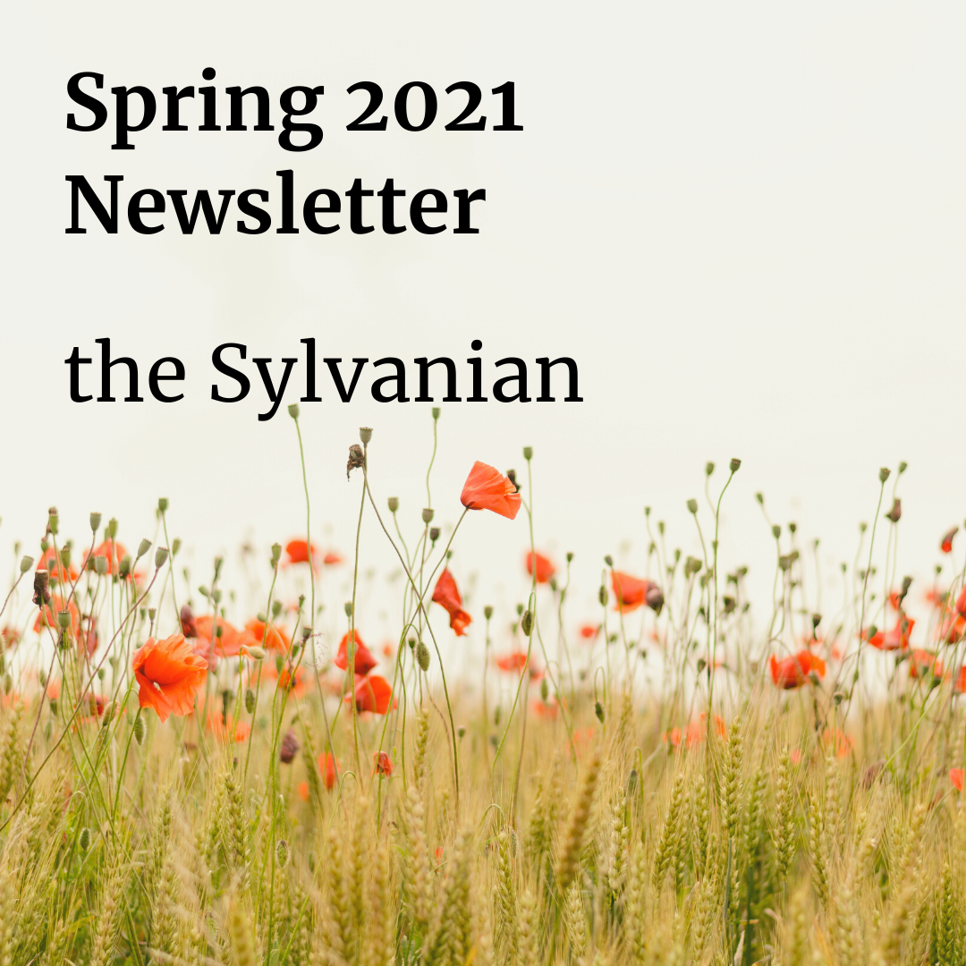 Orange-red wildflowers in a green meadow with the words: Spring 2021 Newsletter, the Sylvanian