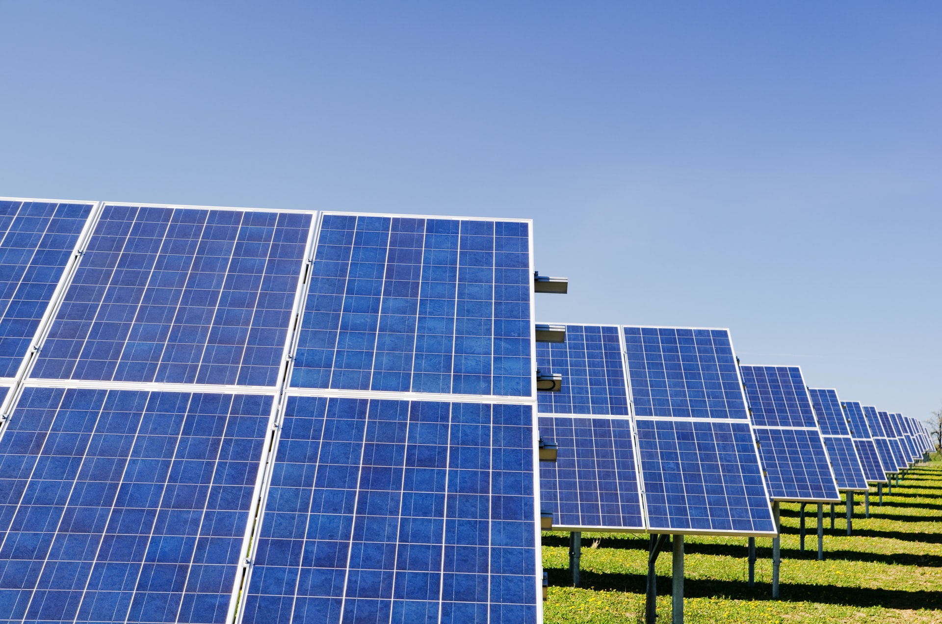 Blue solar panels positions in a field on a clear blue sky day