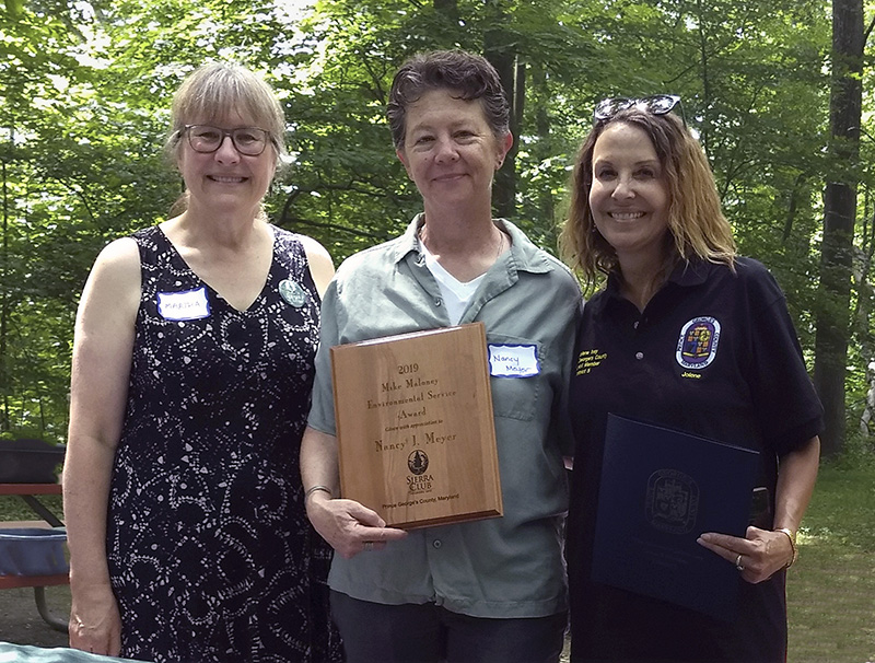 Martha Ainsworth & Nancy J. Meyer