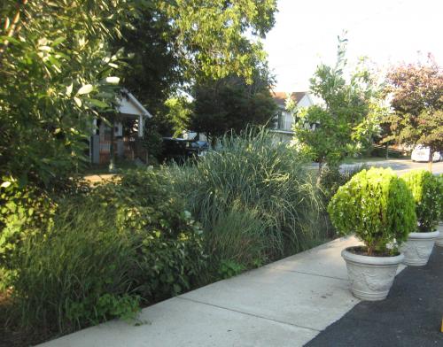 Edmonston's Green Street