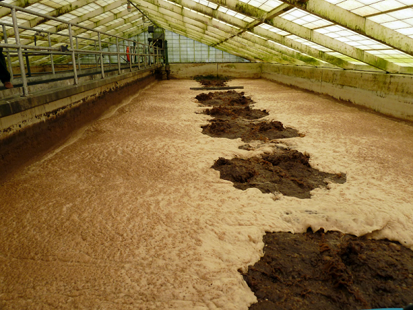 Leachate Treatment Plant