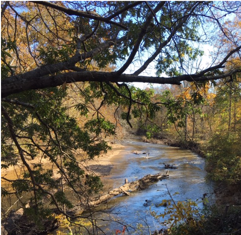 Little Patuxent River