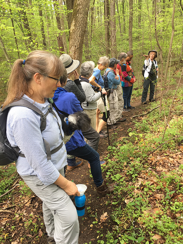 Spring Hike