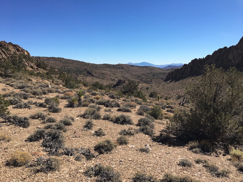 photo of Conglomerate Mesa