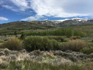 photo of Cameron Canyon area