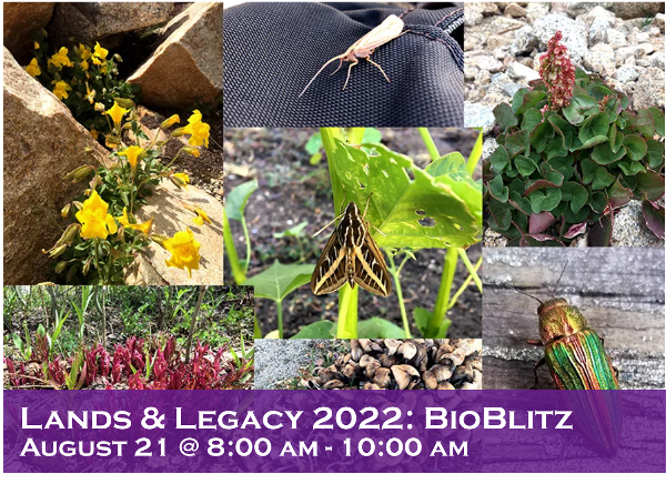 Eastern Sierra Land Trust BioBlitz2022 Banner