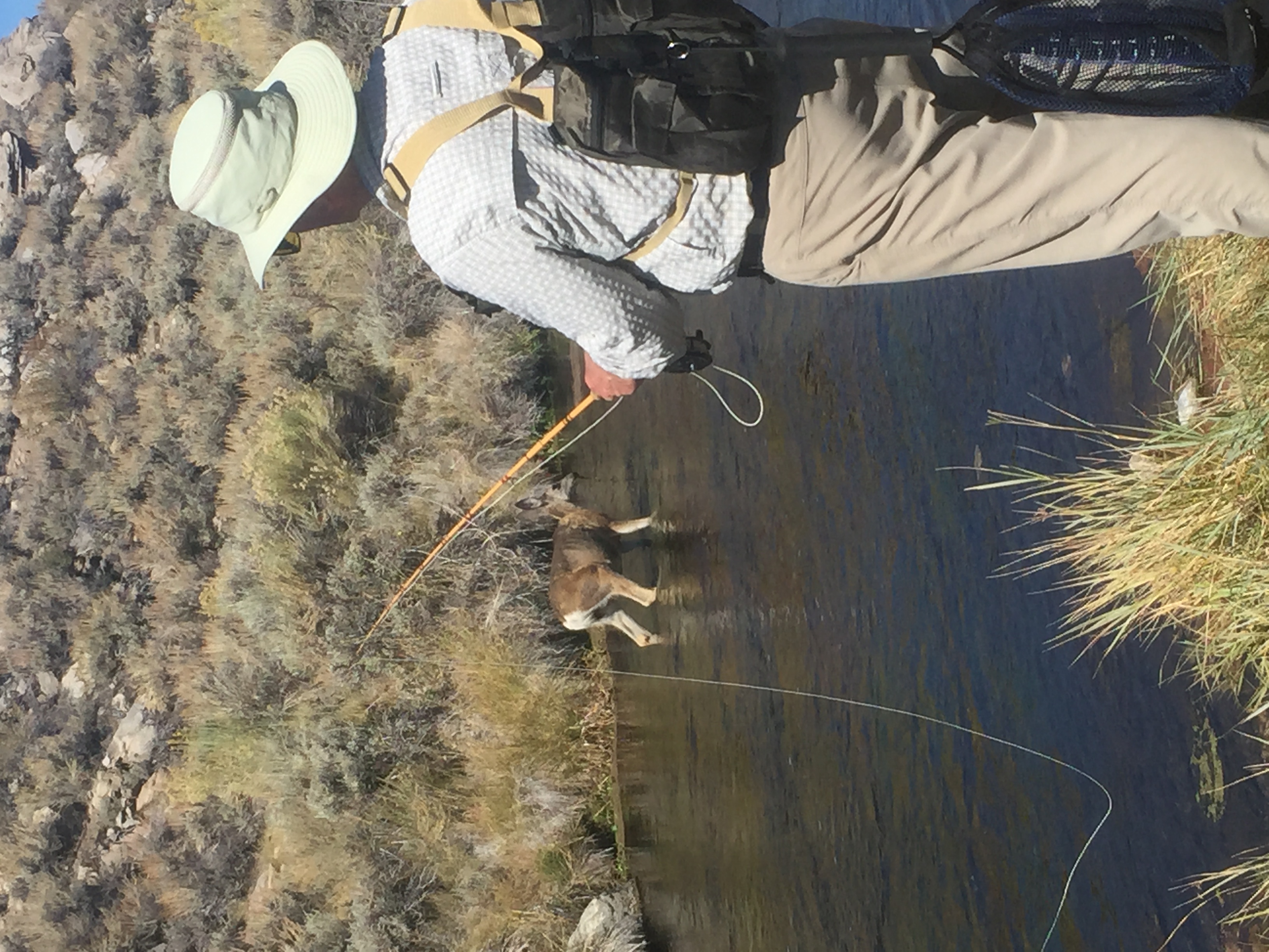 photo of a fisherman and fawn at Hot Creek