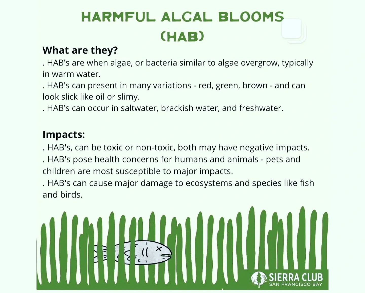 Harmful Algal Blooms Subteam