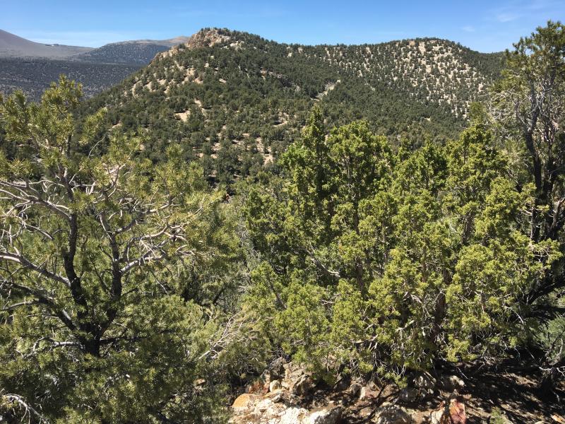 photo of Hecla Sawtooth Ridge drill site