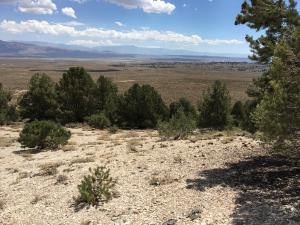 photo of faint grid lines from past exploratory drilling