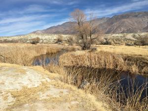 photo of LORP at Narrow Gauge Road