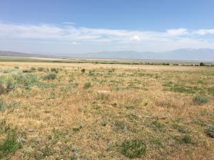 photo of Long Valley the year without water