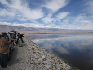 photo of bird watchers at Owens Dry Lake