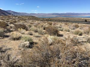 photo of the site of the future Tioga Inn housing