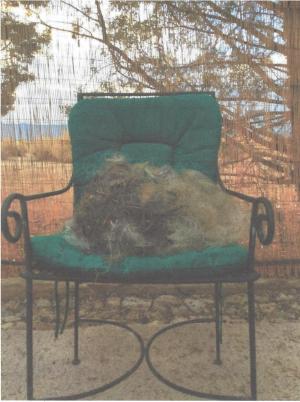 photo of chair full of fishing line pulled out of a lake